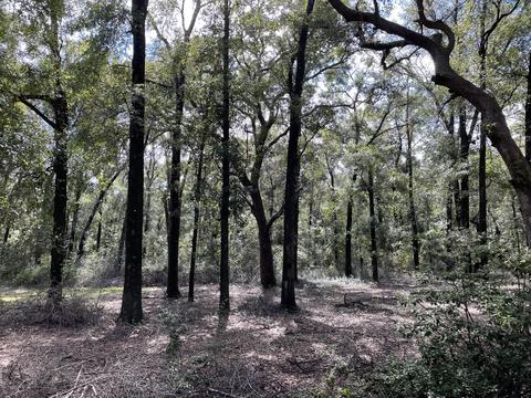 4400 Garcon Point Rd, Milton, FL 32583 photo 19