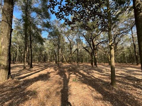 4400 Garcon Point Rd, Milton, FL 32583 photo 23