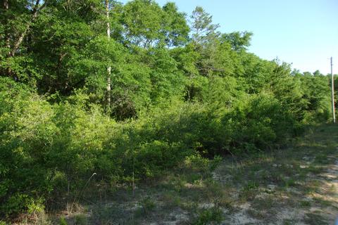 Nn E Bunting Way, Crestview, FL 32539 photo 4