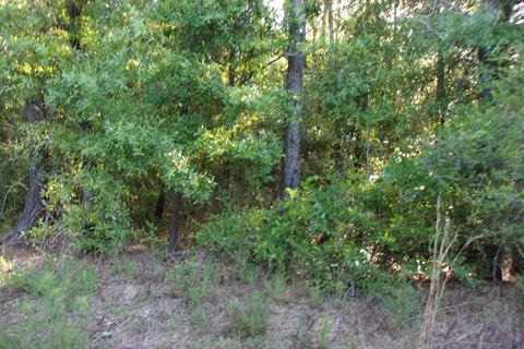 Nn E Bunting Way, Crestview, FL 32539 photo 7