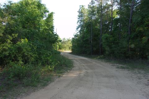 Nn E Bunting Way, Crestview, FL 32539 photo 8