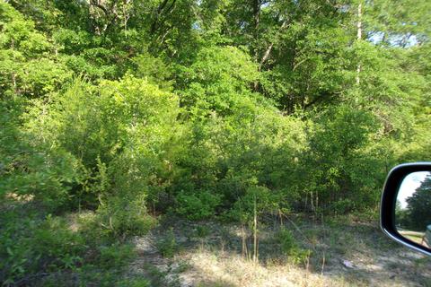 Nn E Bunting Way, Crestview, FL 32539 photo 3