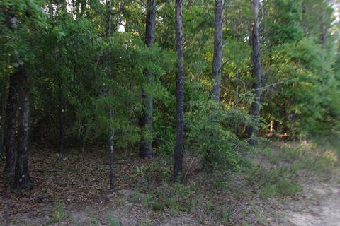 Nn E Bunting Way, Crestview, FL 32539 photo 6