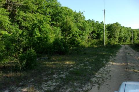 Nn E Bunting Way, Crestview, FL 32539 photo 5