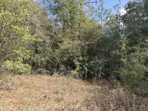0 56 Christopher Ln, Crestview, FL 32539 photo 6
