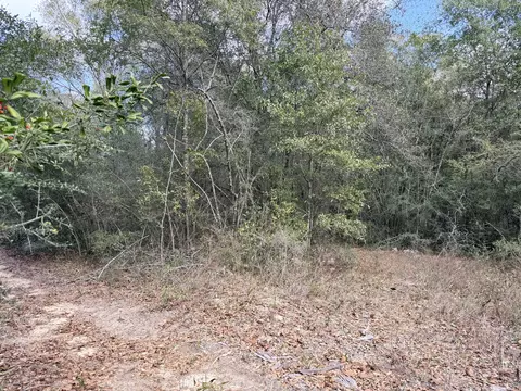 0 56 Christopher Ln, Crestview, FL 32539 photo 7