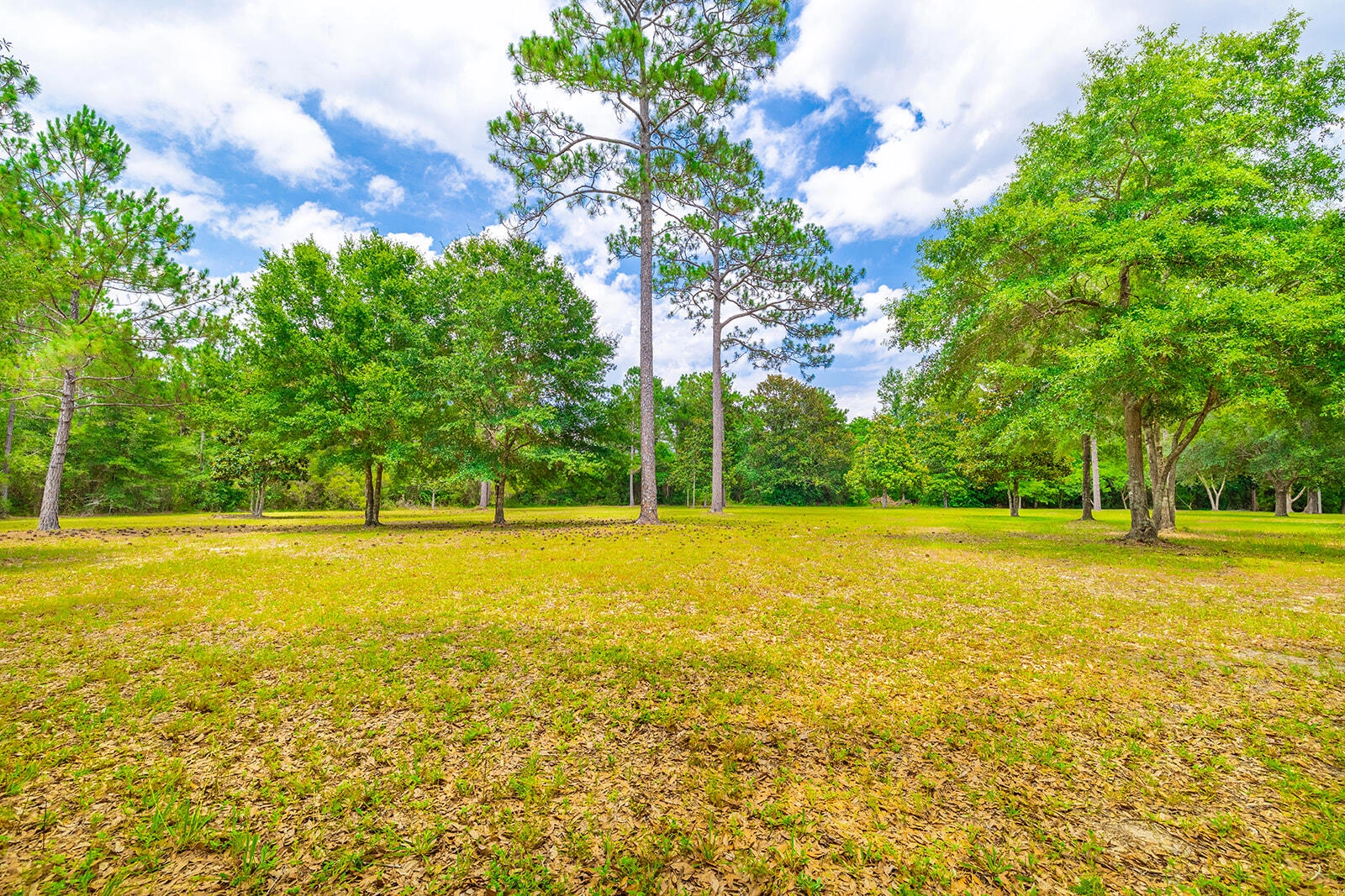 Xxx Lot 2 Us-331  
