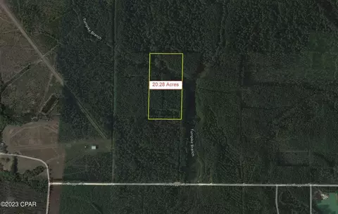 000 Joe Dugger Rd, Freeport, FL 32439 photo 4