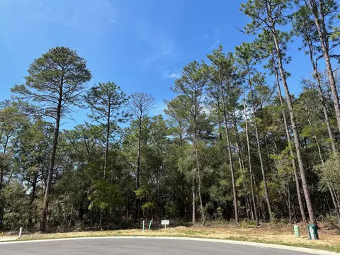 322 Gazelle Ct, Niceville, FL 32578