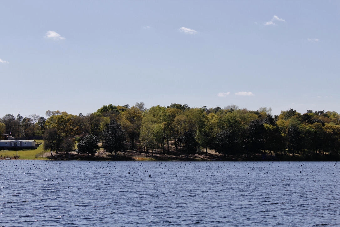 Lot17 Paradise Is Dr  