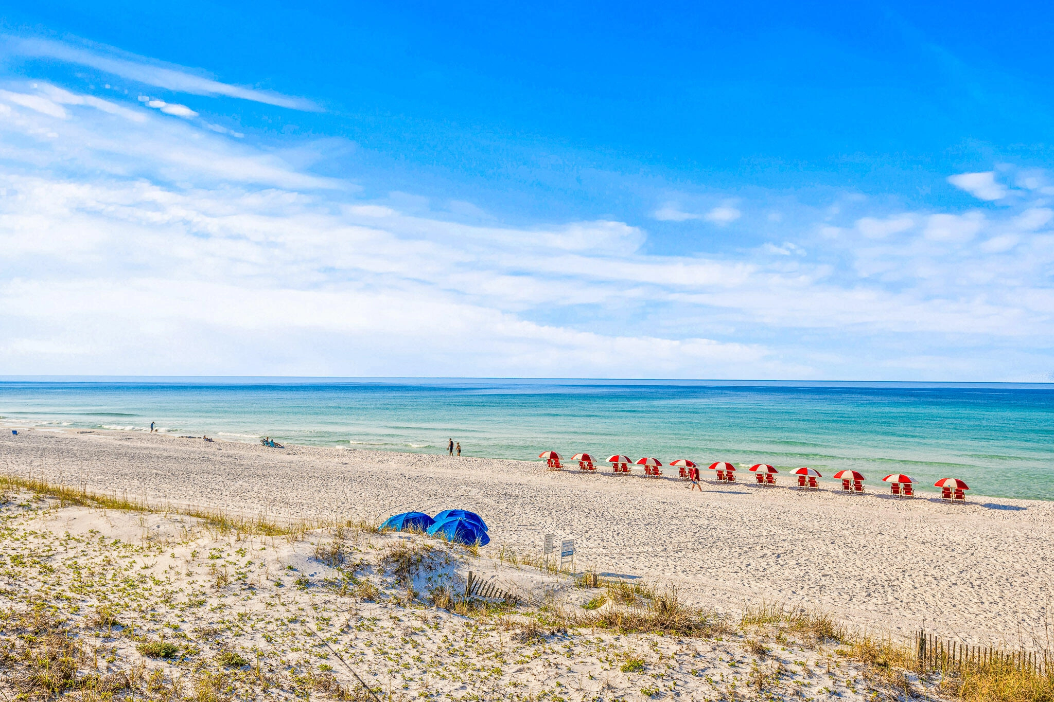 241 Ellis Rd Unit 25  