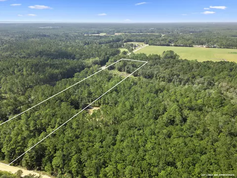 4515 St Highway 20, Freeport, FL 32439 photo 13