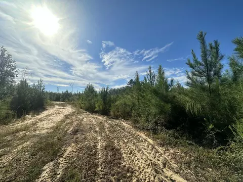 A and B Millside Road Parcel A & B #<><, Laurel Hill, FL 32567