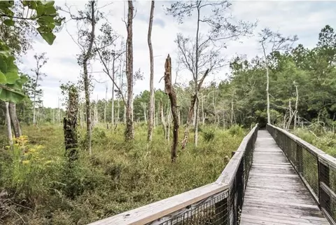 Other - 446 Mango Ln, Freeport, FL 32439 photo 19 of 20