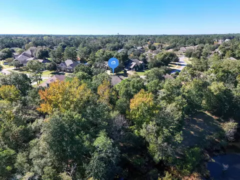 View/Area - 446 Mango Ln, Freeport, FL 32439 photo 3 of 8