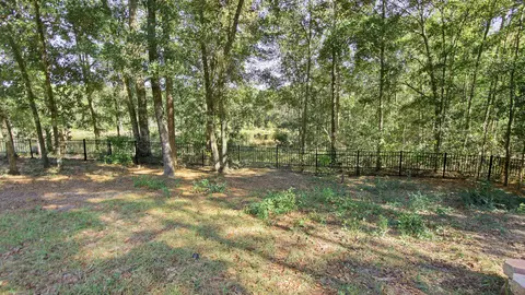 Exterior - 446 Mango Ln, Freeport, FL 32439 photo 6 of 16