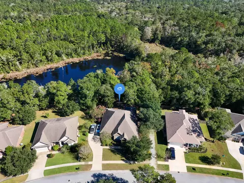 View/Area - 446 Mango Ln, Freeport, FL 32439 photo 1 of 8