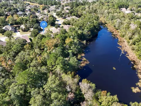 View/Area - 446 Mango Ln, Freeport, FL 32439 photo 4 of 8