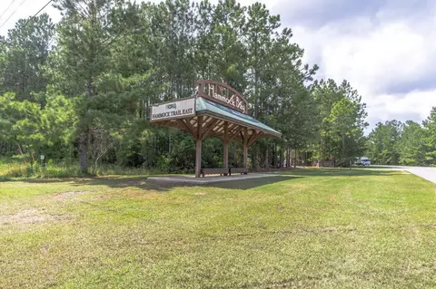 Exterior - 446 Mango Ln, Freeport, FL 32439 photo 16 of 16