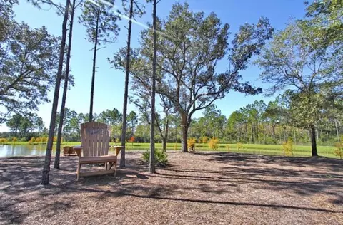 View/Area - 446 Mango Ln, Freeport, FL 32439 photo 7 of 8