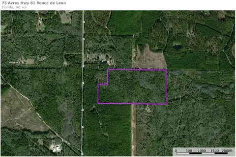 75 N Acres N Highway 81, Ponce De Leon, FL 32455