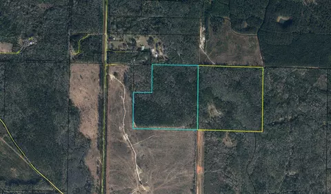 75 N Acres N Highway 81, Ponce De Leon, FL 32455