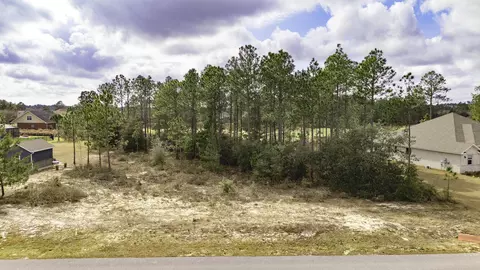tbd Brushed Dune Cir, Freeport, FL 32439 photo 5