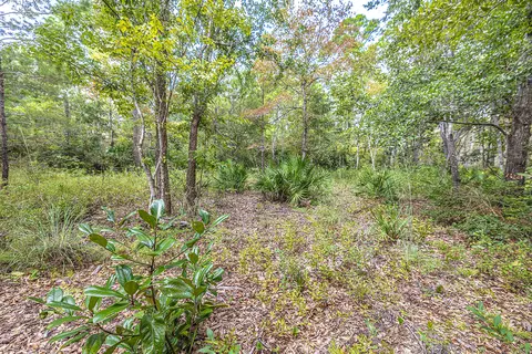 lot77 Harbour Trce, Freeport, FL 32439 photo 6