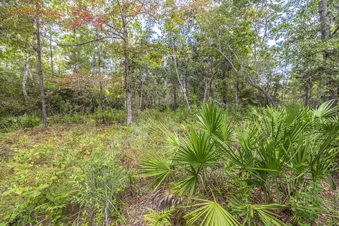 lot77 Harbour Trce, Freeport, FL 32439 photo 5