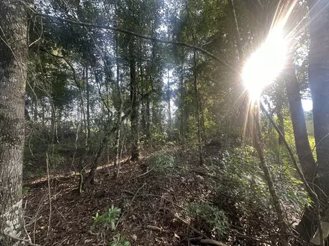 Parcel A Yellow River Baptist Church Road #22 AC+/-, Baker, FL 32531