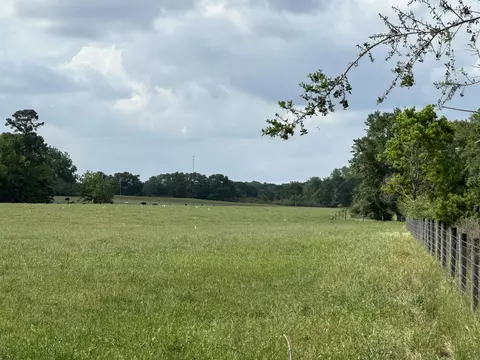 261 6 Ac Millside Rd #LAUREL, Hill, FL 32567 photo 32