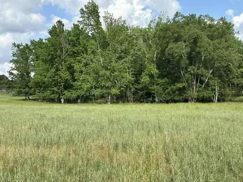 261 6 Ac Millside Rd #LAUREL, Hill, FL 32567 photo 15