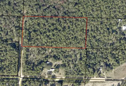 4 77 Acres Waldo Rd, Crestview, FL 32539