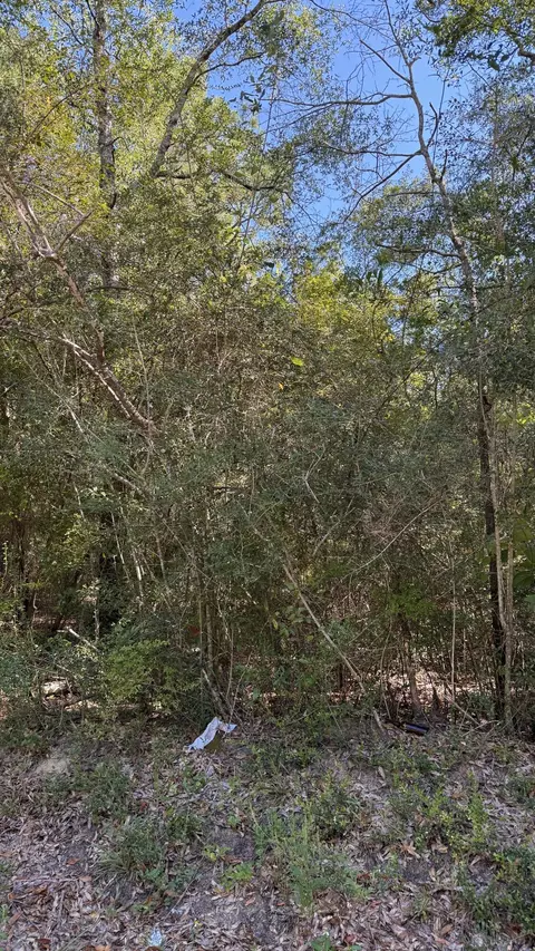 tbd Painter Branch Rd, Crestview, FL 32539 photo 5