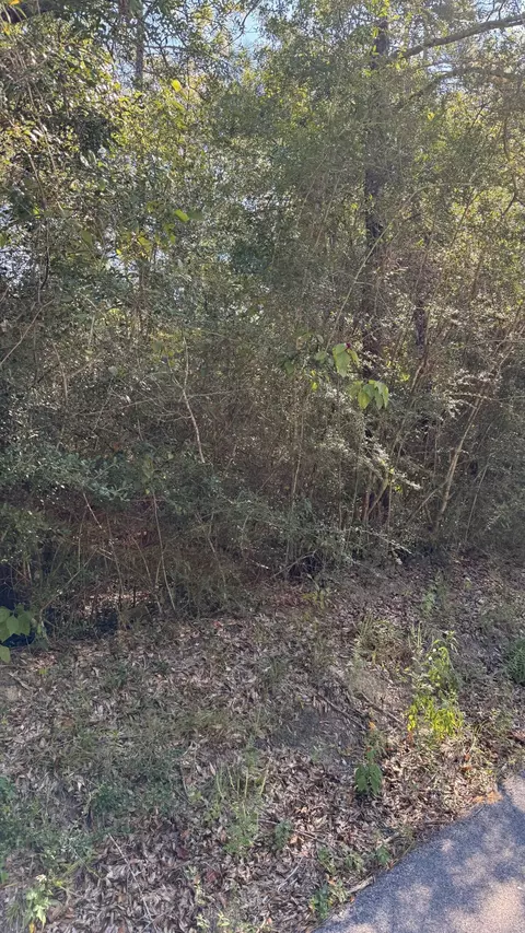 tbd Painter Branch Rd, Crestview, FL 32539 photo 6