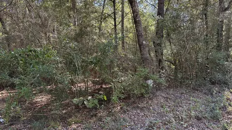 tbd Painter Branch Rd, Crestview, FL 32539