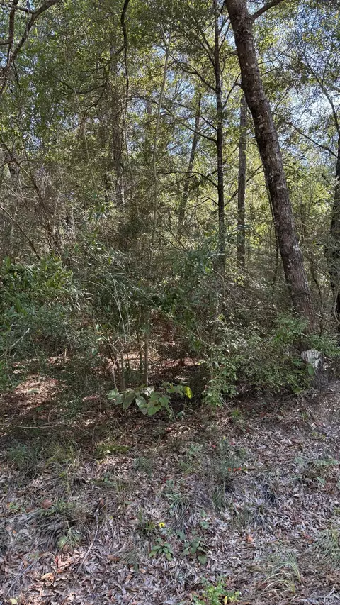 tbd Painter Branch Rd, Crestview, FL 32539 photo 3