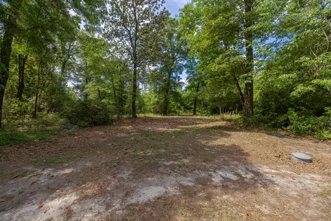 4187 Shell Landing Rd, Vernon, FL 32462 photo 39