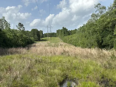 164 19 Ac Old River Rd, Baker, FL 32531