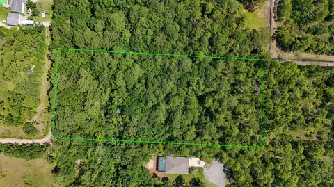 4 66 Acres Watson Rd, Freeport, FL 32439 photo 4