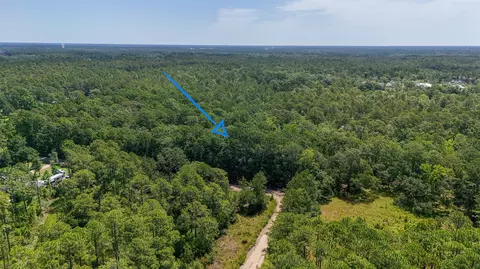 4 66 Acres Watson Rd, Freeport, FL 32439 photo 8