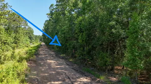 4 66 Acres Watson Rd, Freeport, FL 32439 photo 7