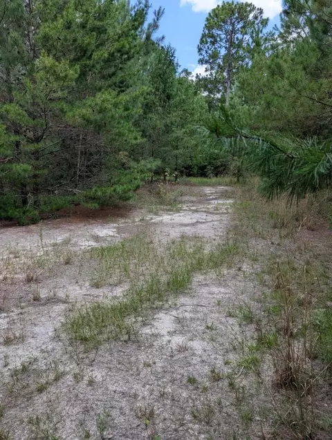 tbd Chief Bragg Dr, Freeport, FL 32439