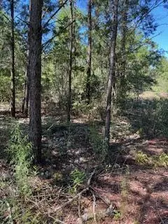 45-48 W Buckeye St, Mossy Head, FL 32434
