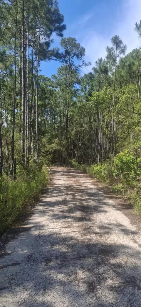 lot12 W Nursery Rd, Santa Rosa Beach, FL 32459
