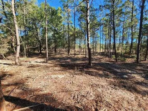 1 2 Acres On Kelly St, Defuniak Springs, FL 32433