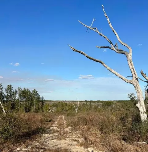 00 James Luther Rd, Ponce De Leon, FL 32455