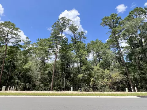 249 Foxglove Run, Niceville, FL 32578