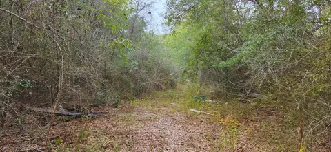 00 NE Second Ave, Crestview, FL 32539 photo 18