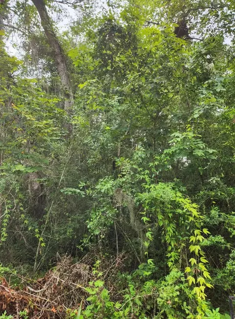 lot5 5th St, Santa Rosa Beach, FL 32459